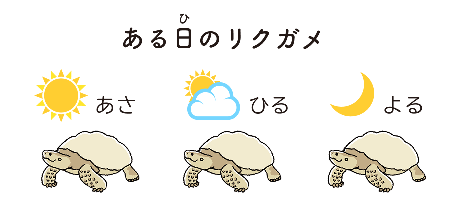 ある日（ひ）のリクガメ