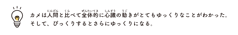 リクガメの気持ち（きもち）を考えて（かんがえて）みよう！