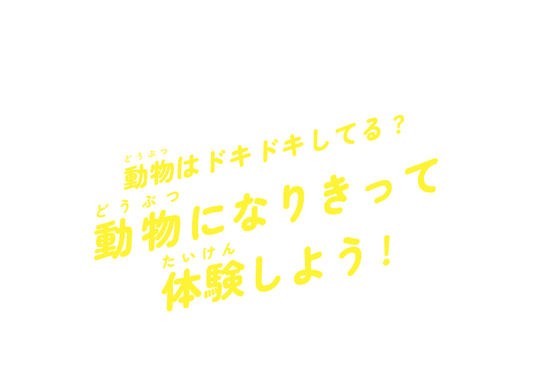 動物（どうぶつ）はドキドキしてる？動物（どうぶつ）になりきって体験（たいけん）しよう！