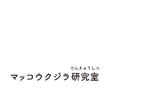 マッコウクジラ研究室（けんきゅうしつ）