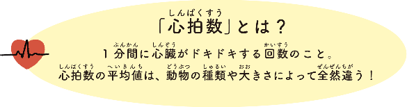 「心拍数（しんぱくすう）」とは？