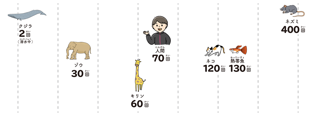 みんなの1分間（ぷんかん）の心拍数（しんぱくすう）