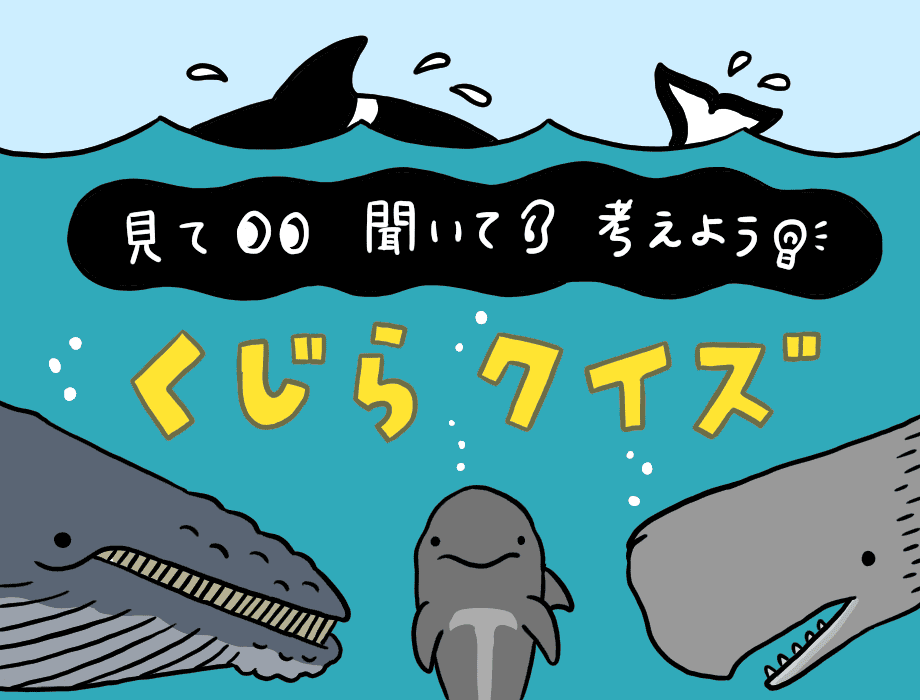 見て 聞いて 考えよう クジラクイズ